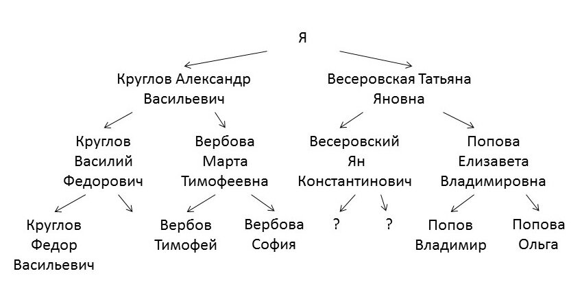 Мое первое генеалогическое древо