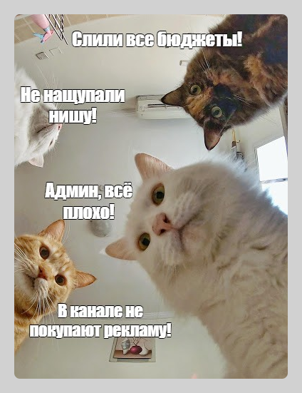 Nash Doktor, medical examination, Podolsk, Fevralskaya Street, 57с1 - Yandex Map