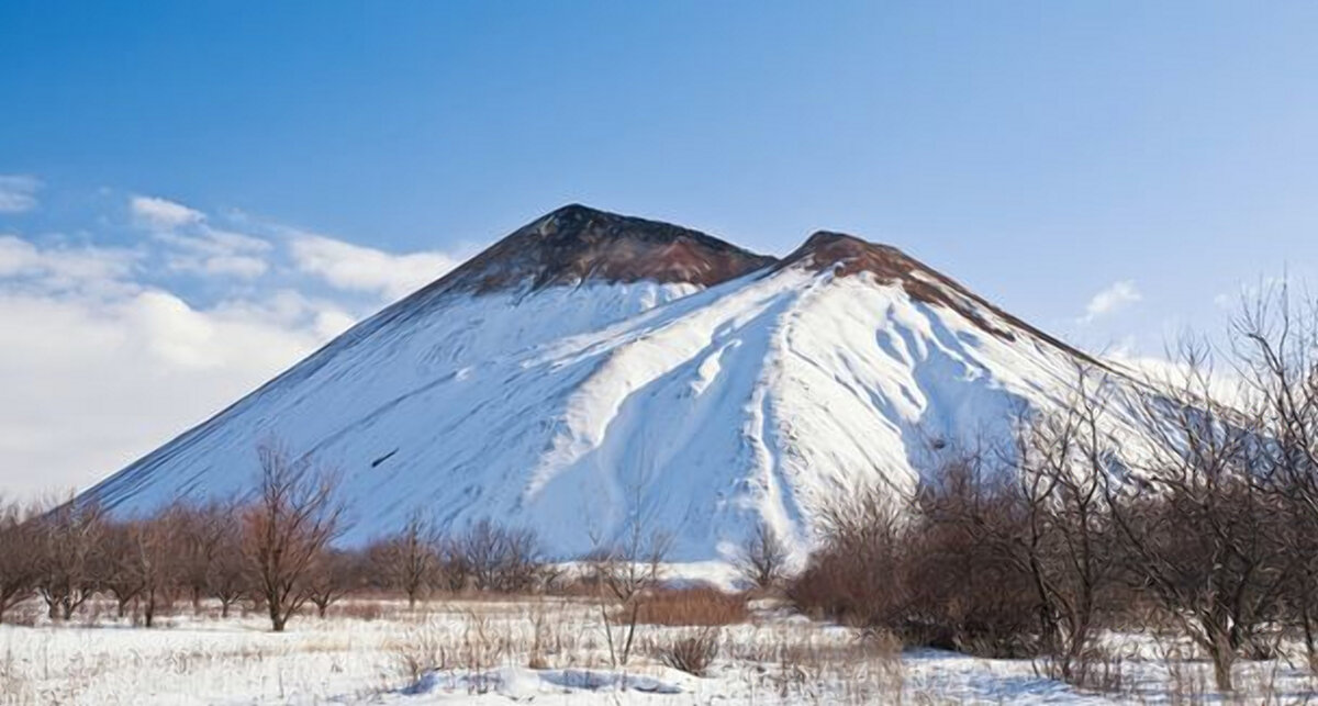Фото из открытого источника Яндекс 