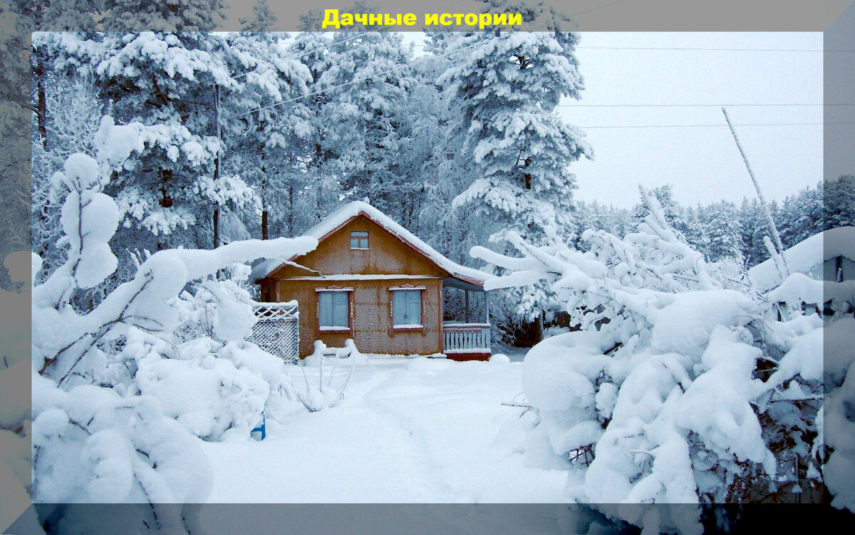https://vk.com/photo-159774511_457257189