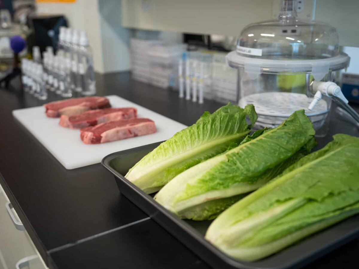    Новый спрей с микробами дезинфицирует продукты лучше УФ-лучей