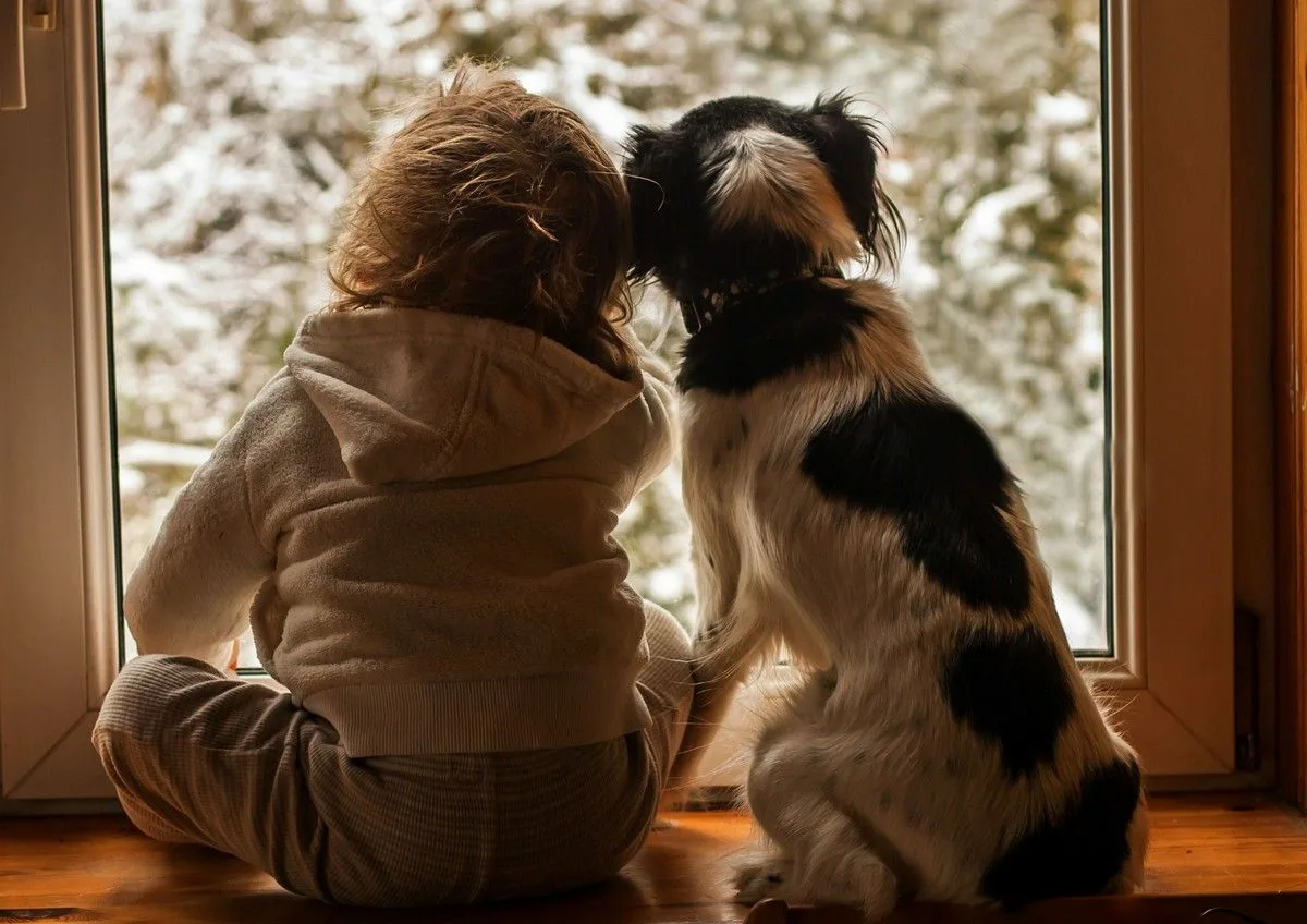 фото из интернета