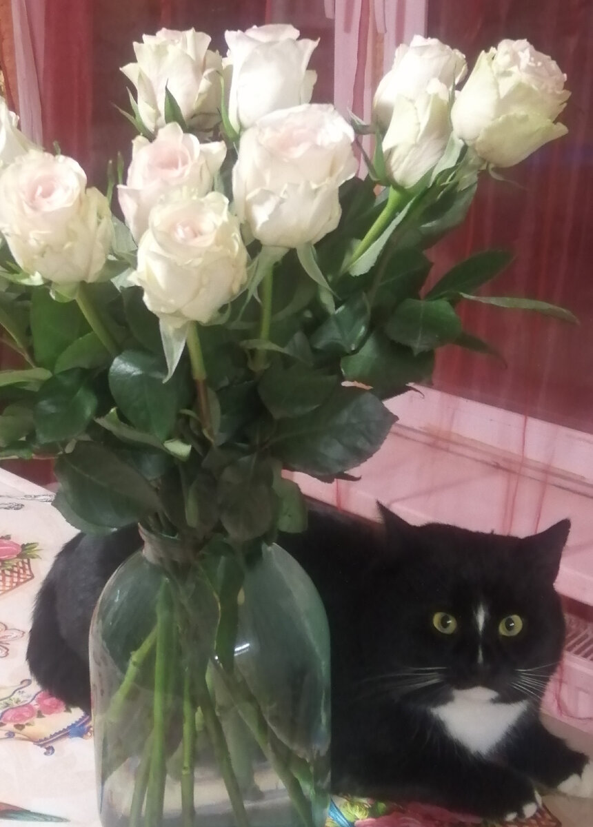 Бася и я рады вам.