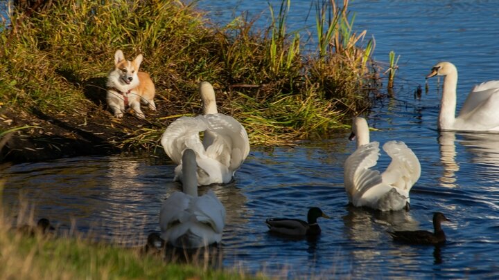 ФОТО:@ROMAN DENISOV/GLOBALLOOKPRESS
