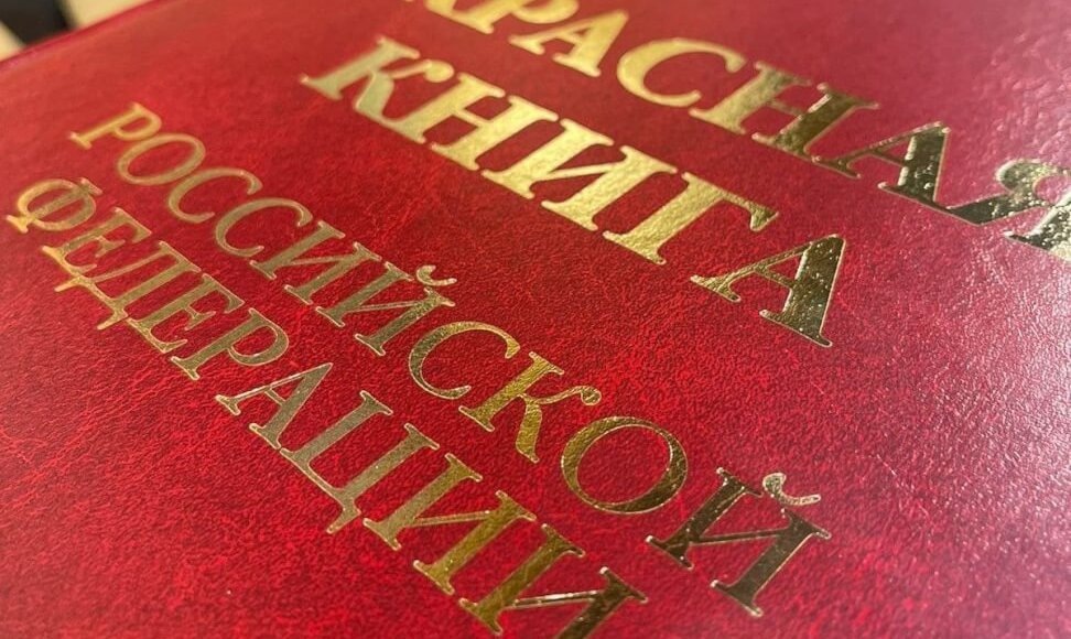    Фото: Минприроды РФ