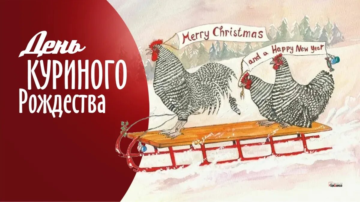 День куриного рождества. Иллюстрация: «Курьер.Среда»