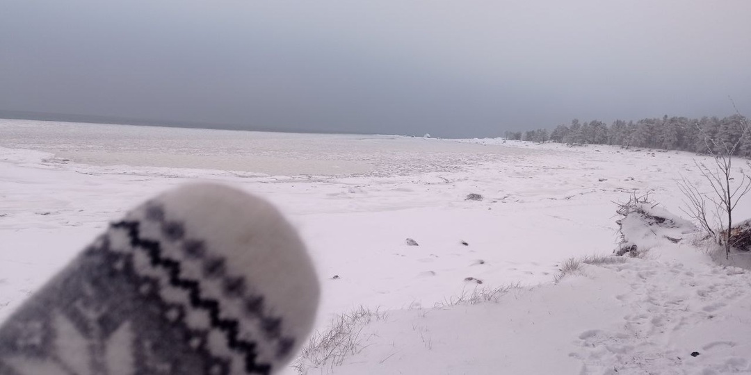 Зимний финский