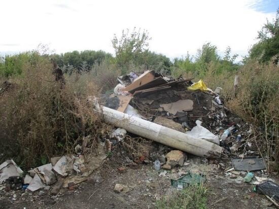     фото: Россельхознадзор по Тульской области