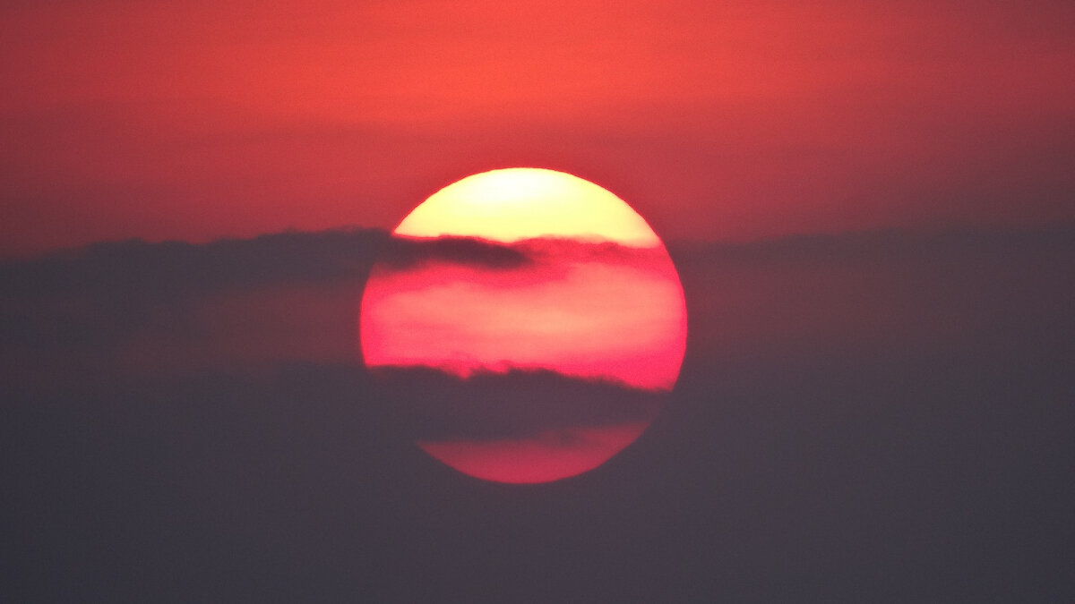 Фото: unsplash.com