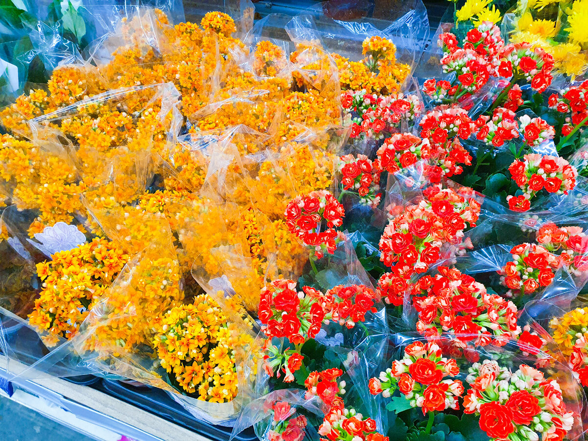 Как летнее поле - одни цветы, листьев даже не видно