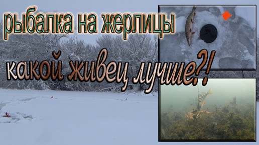 Рыбалка на жерлицы! КАКОГО ЖИВЦА ПРЕДПОЧИТАЕТ ЩУКА?! Выявляем наиболее рабочий, по щуке, вид живца! Зимняя ловля щуки на небольшом пруду!