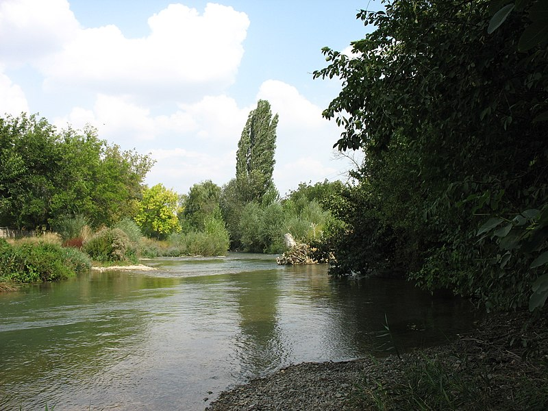 Река Большая Карасёвка. Фото из Википедии. Автор - Юровский Александр.