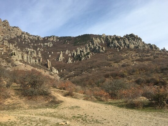     фото: crimea.mk.ru