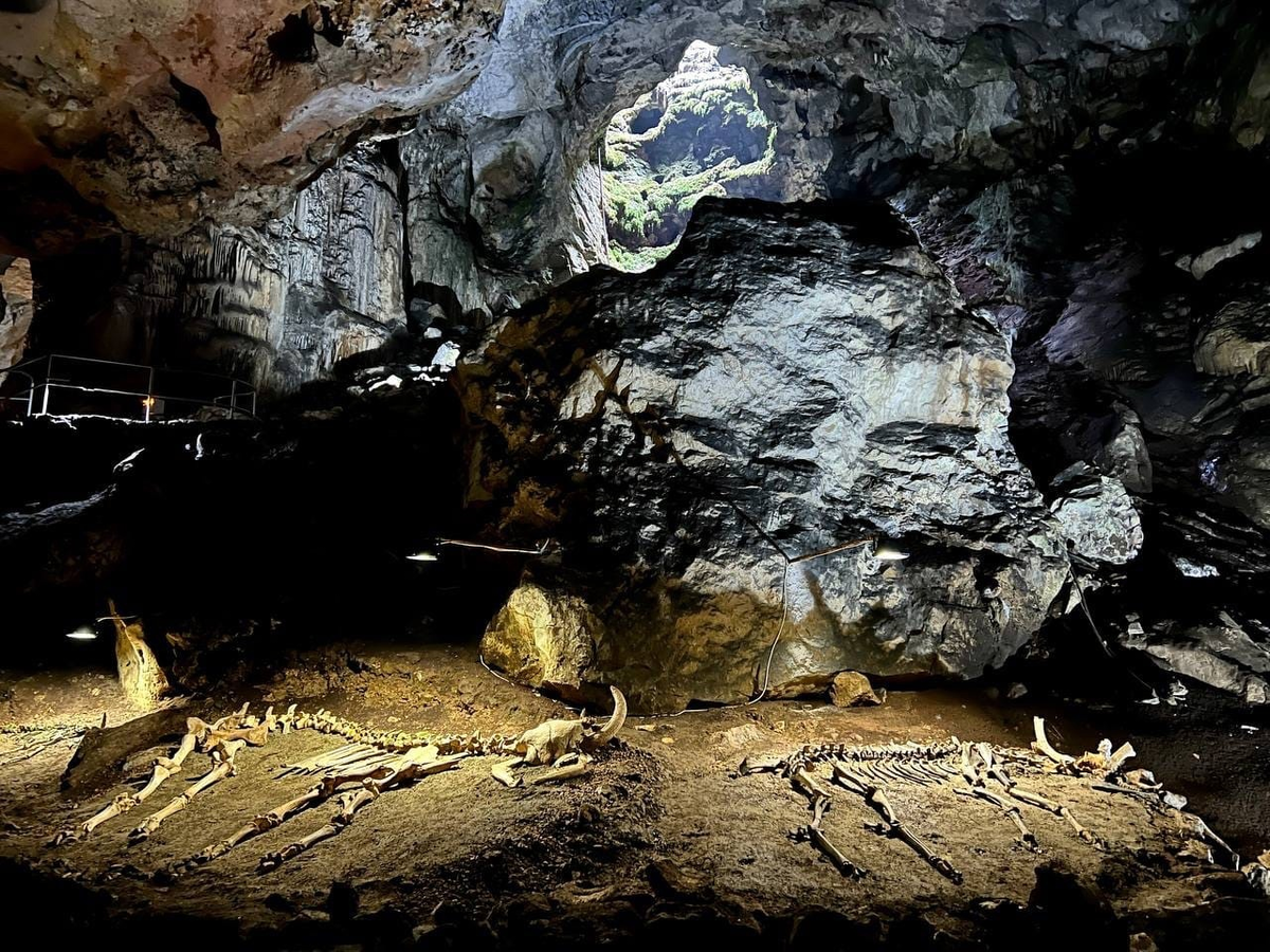 Фото (с) Телеграм канал "Высота: Крымский блог"