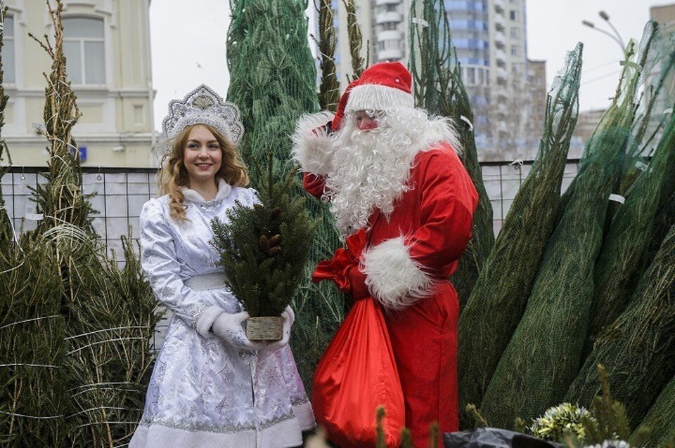     Новогодние праздники можно провести с пользой