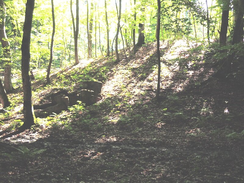 Тут меня спрашивают (ирония) почему не указаны другие конкретные разрушители?-35