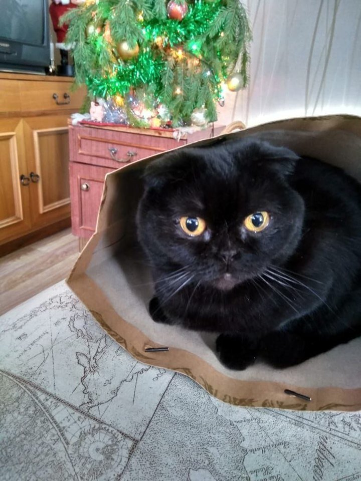     Фото: МК Ямал