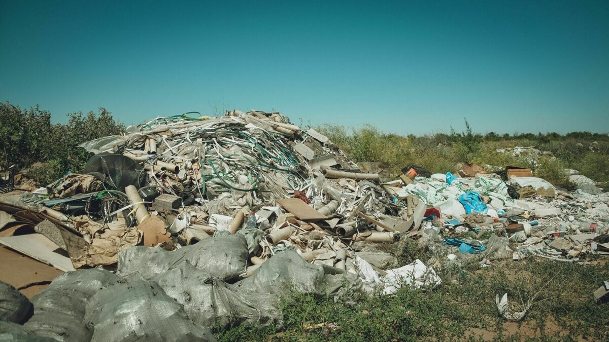     Природоохранная прокуратура заставила чиновников через суд убрать нелегальные свалки в парке «Дружба» в Кировском районе Волгограда. К настоящему моменту их ликвидировали.