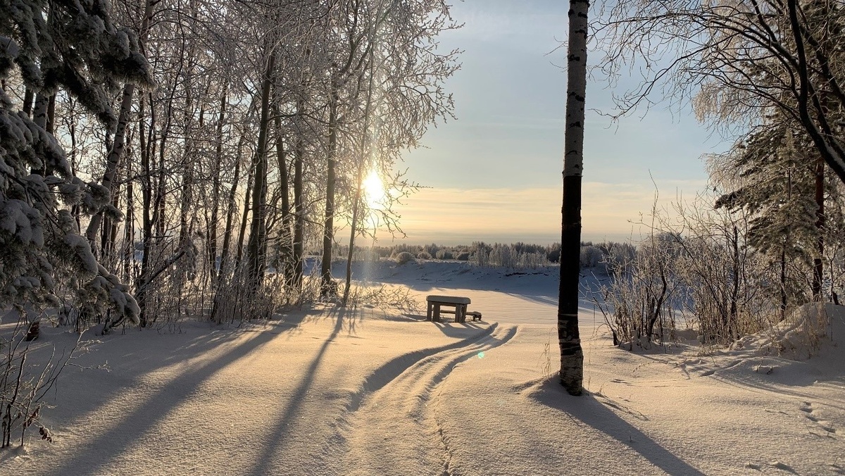    В новогодние каникулы в Югре будет морозно