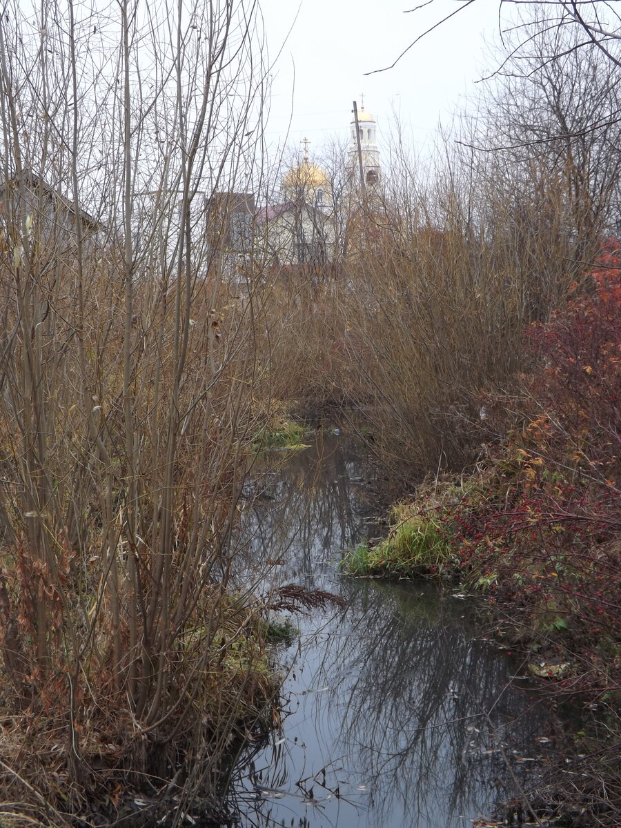 Делегатский огород