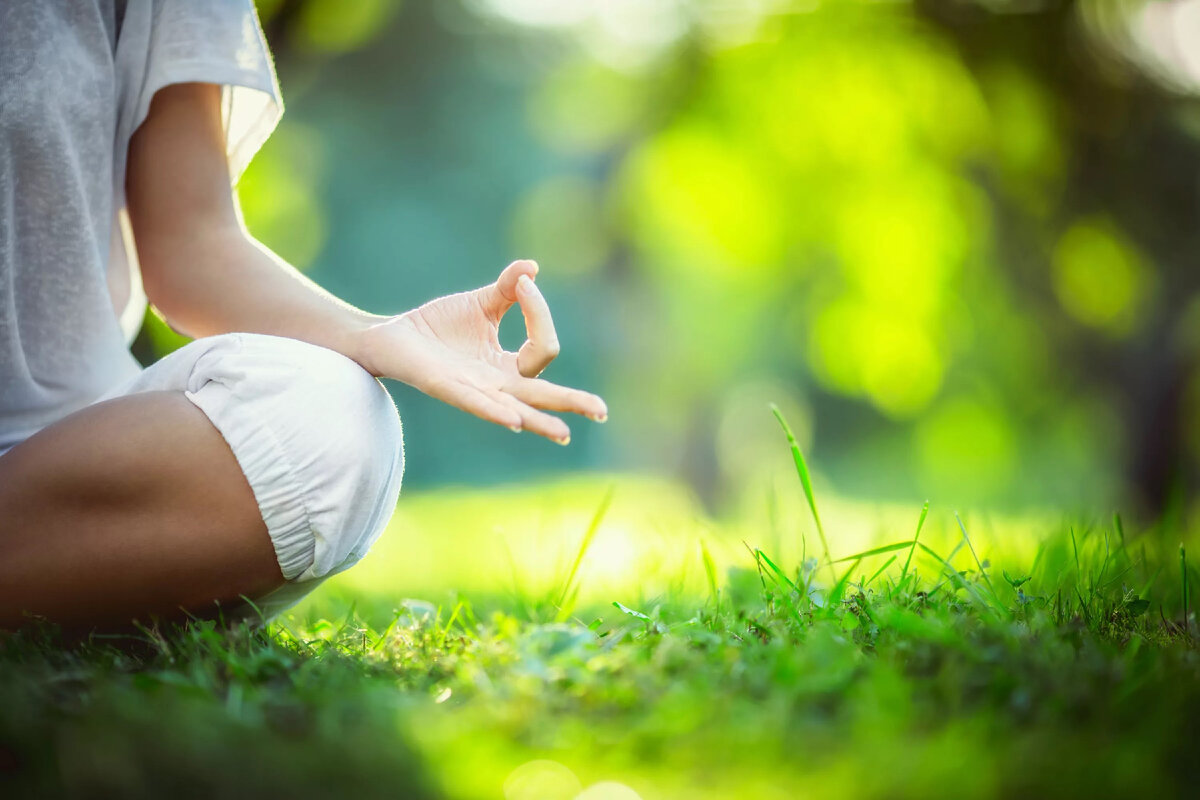 Йога медитация природа