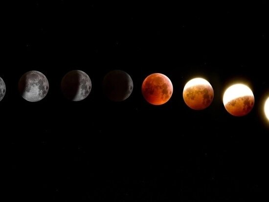     Фото: pixabay.com