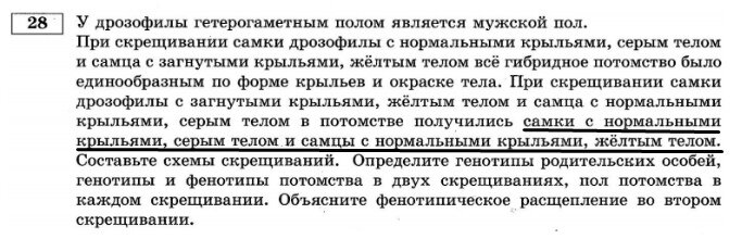 Какой пол человека является гетерогаметным. Какой пол человека является гетерогаметным