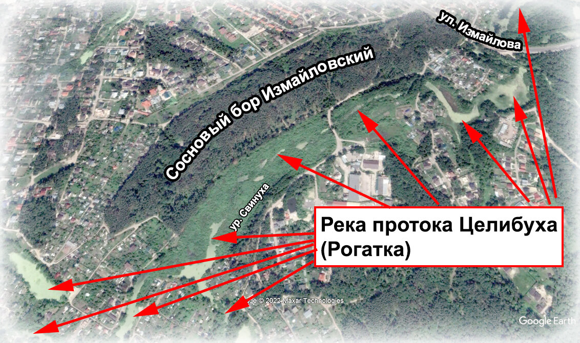 Сосновый бор Измайловский и река протока Целибуха (фото со спутника) 