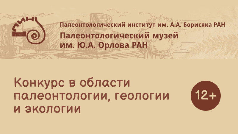 Автор Анна Соловьева 