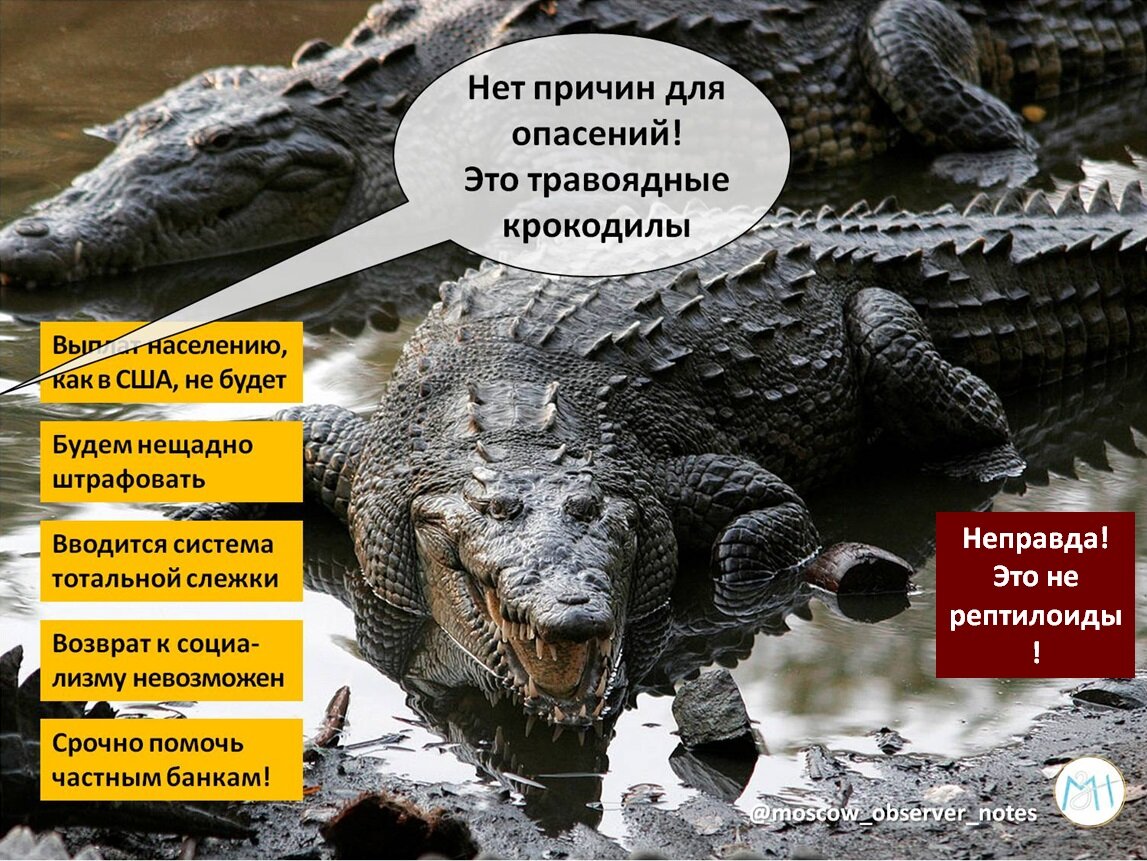 Изображение: dmvv.ru/stat-i/yumor/1098-khronika-operatsii-kovid-19-v-smeshnykh-kartinkakh