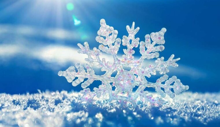 Фото из сети