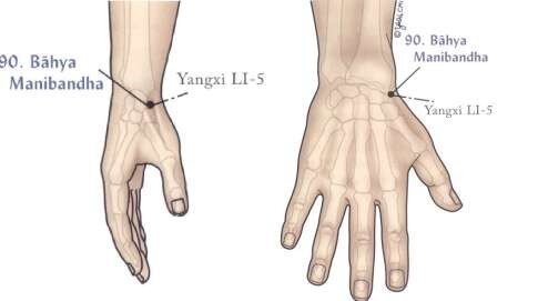 Марма-точка Бахья Манибандха