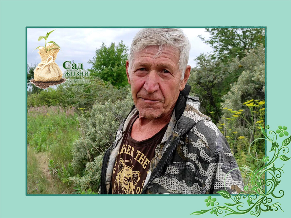 Как выживают пенсионеры в брошенных садах