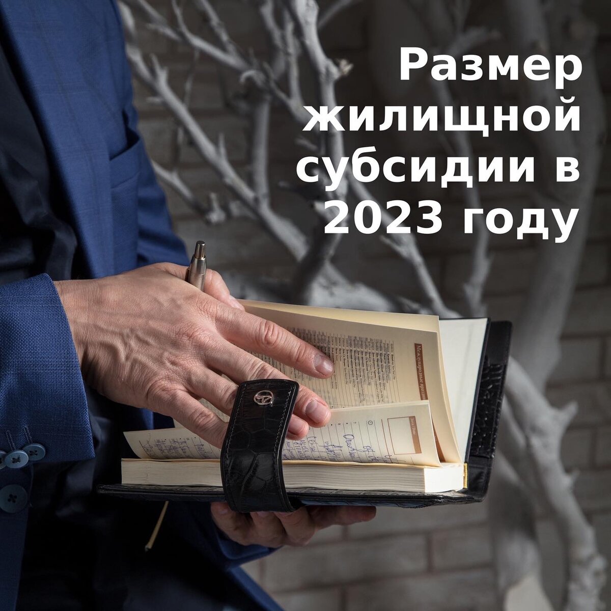 Жилищная субсидия. Субсидия 2023. Жилищные субсидии пожилым.