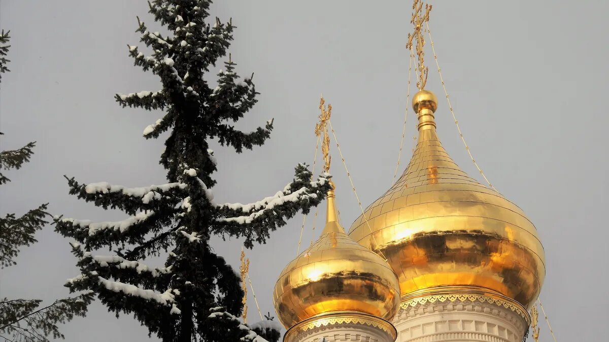 Каждый верующий человек может обратиться за помощью к Небесам. Фото: Pxfuel.com