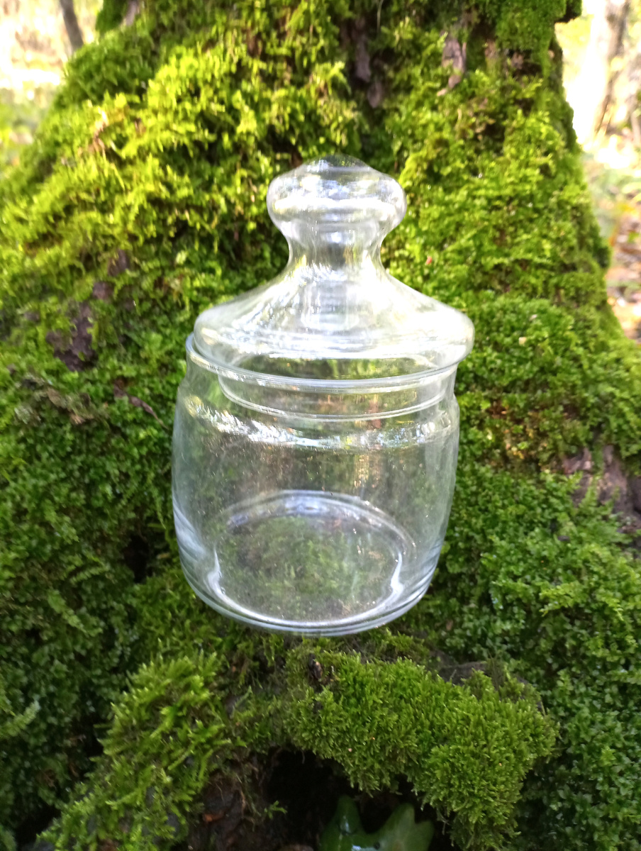 Заметили, что делают кто во что горазд и нас спрашивают, думая что как у них, так и у всех)
Ну и мы делаем, как знаем и как считаем нужно😉
_ Обязательно используем дренаж, +-, в зависимости от объёма и кол-ва растений, иначе суккуленты погибнут.
_Грунт мы перемешиваем сами в нужных пропорциях, без грунта нечего не растёт. И добавляем столько, сколько необходимо всей зелени.
_песок, камни, древесину- мы так же подготавливаем- просеиваем, отбираем, чистим, моем, храним. Как то не хочется что бы не нужная грязь и инфекция жила вместе с нами) 
_ а что касается мха, коры и даже шишек,- ну тут уж точно экологичней некуда- заморачиааемся по этому поводу-это всё и к нам домой можем принести, и родные могут брать и близкие, поэтому всё из леса и только, далеко от города и трассы, причём там, где даже люди не смогут просто пройти через все дебри, в остальном, тот же мох, как и растения, выращиваем и ухаживает за всем сами, от того и времени уходит конечно много, помимо всего сопутствующего. Так что, если вдруг Ваш питомец нечаянно съест мох, палочку, цветочек- спокойно, только здоровее будет, безопасно😊🌱
#пост@green_dizi