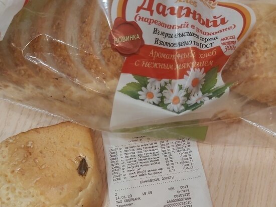     Ольга Овчинникова / "АСТ-54"