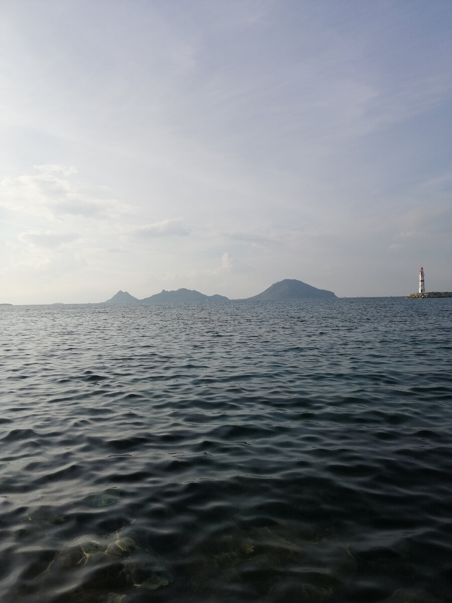 Turgutreis Marina 