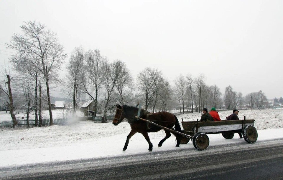     15 января под запретом были блюда из домашней птицы и яйца, иначе, по поверьям, в дом могла прийти беда. Сергей ГАПОН