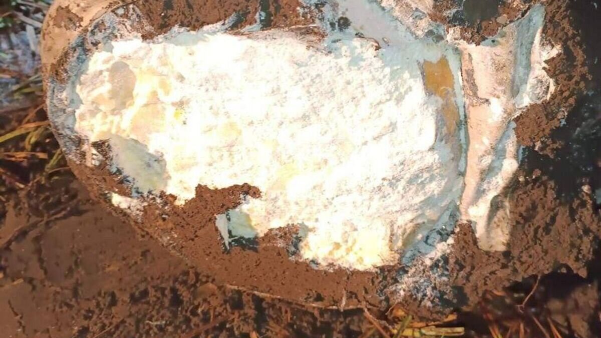    В Бричанском районе Молдовы обнаружена головная часть упавшей ранее ракеты© Фото : Ministerul Afacerilor Interne al Republicii Moldova