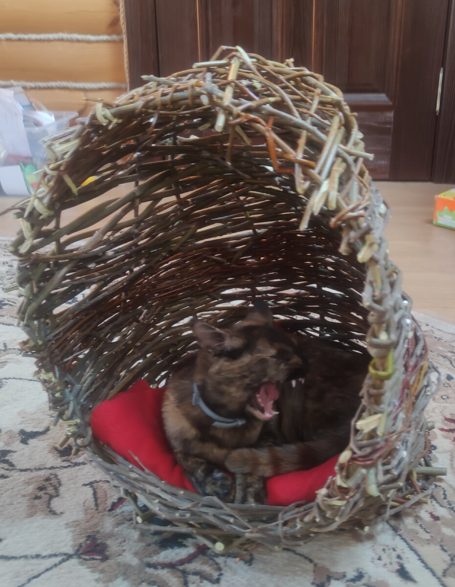 с удовольствием спала там