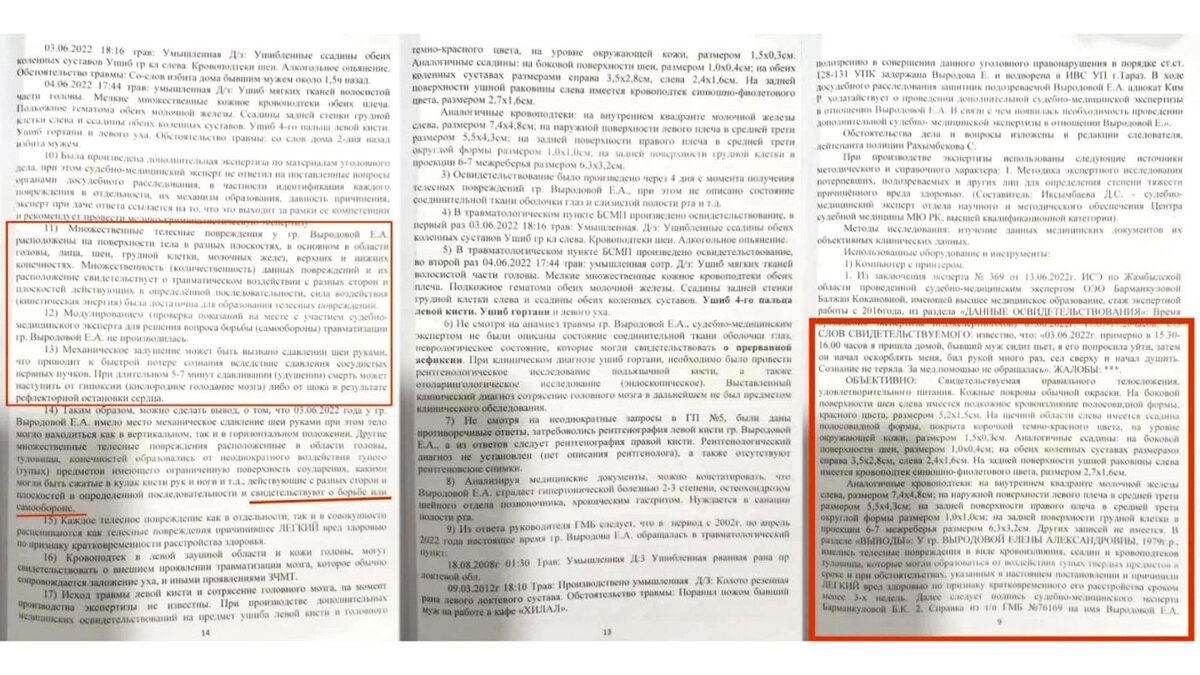 Судебно-медицинская экспертиза Елены Выродовой