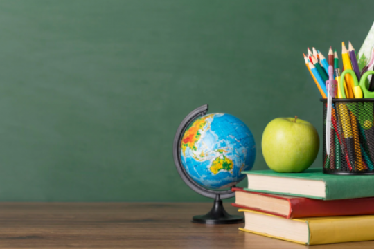    Минпросвещения проверит все школы новых регионов, чтобы выявить проблемные места