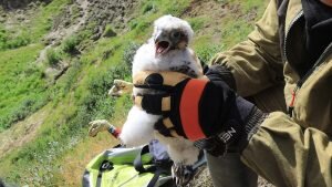    Фото: "МБУДО "Детская экологическая станция" в Вконтакте Наталья Анисеева