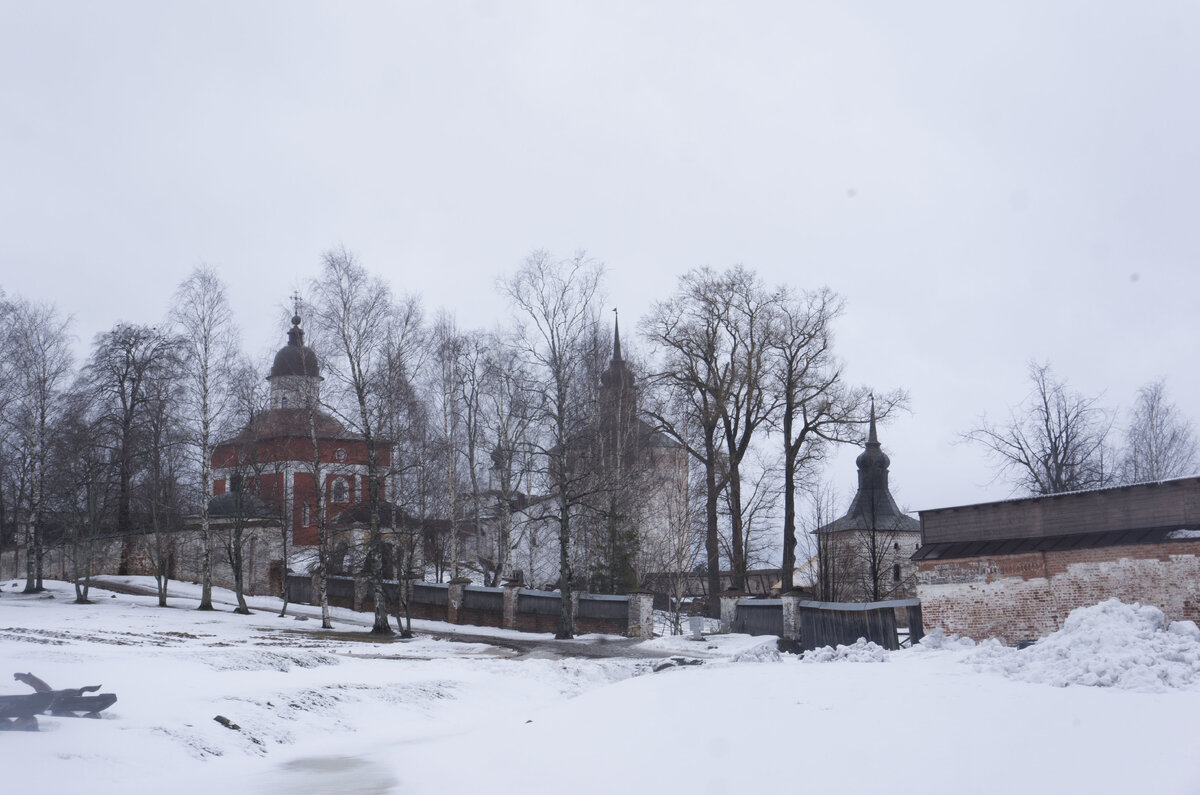 Автор фото: Надежда Савинова