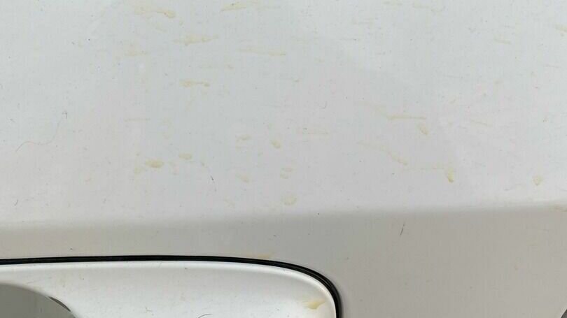     В Набережных Челнах местный житель пожаловался на неизвестного человека, который испражнился на его автомобиль. Соответствующая публикация появилась в одном из пабликов социальной сети «ВКонтакте».