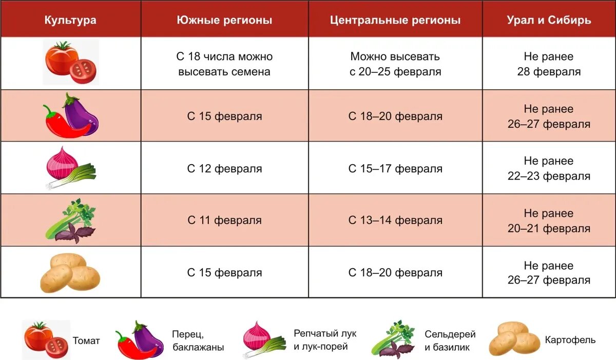 Пересадка рассады в феврале