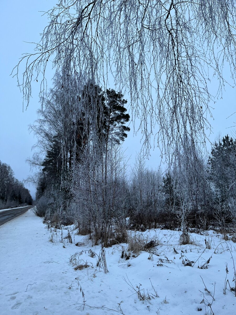 На прогулке