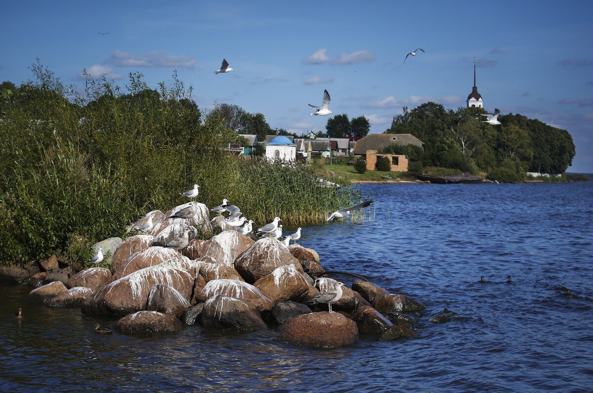 берег псковского озера