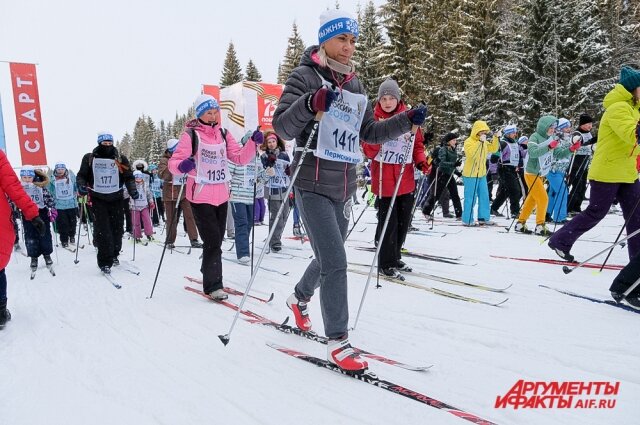    Фото:  АиФ/ Виктор Михлёв